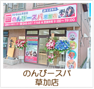 のんびースパ草加店