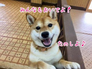 みんなもおいでよ♪