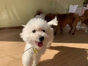 IMG_0742