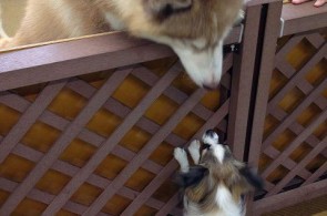 仲良くしようね