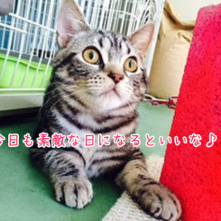 今日もいい一日になるといいな