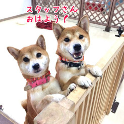 おはようございまーす