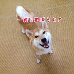 一緒に遊ぼうよ！