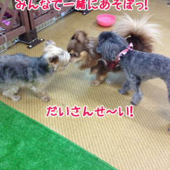 みんなで一緒に遊ぼう！