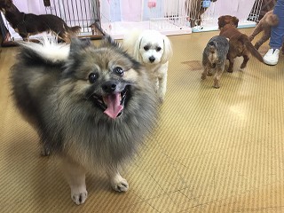 ホテル楽しいよ