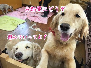 ホテルのお部屋