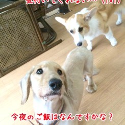 気付いてくれない（笑）