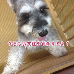 今日も元気にブログ更新！