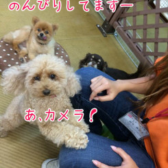 のんびりしてますー