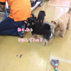 お散歩じゅんび