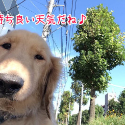 良い天気だなぁ