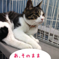 ちょっとそのまま