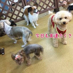 今日もホテルは賑やかです