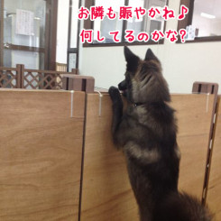 お隣はなにしてるのかな？