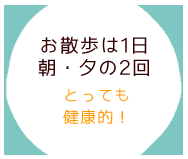 お散歩は１日朝・夕の２回