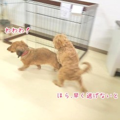 いそいでにげろ～