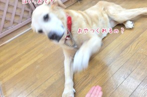 おやつのじかんかな～