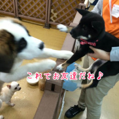 お友達♪