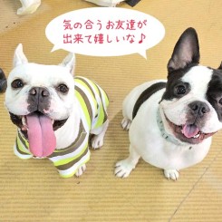 お友達が出来ました