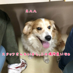 お気に入りの場所？