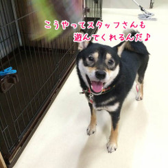 お遊び楽しいな