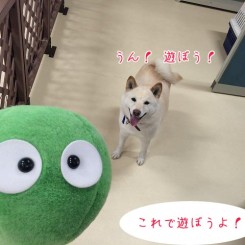 これであそぼう