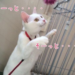 そーっと・・・