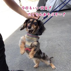 たくさん遊ぼうね