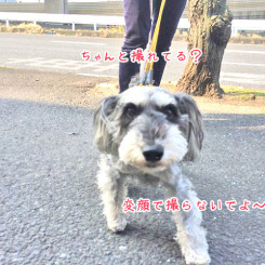 ちゃんと撮れてる？