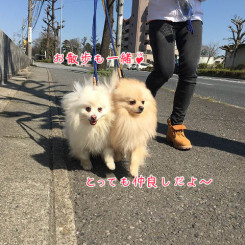 とっても仲良し