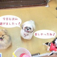 また明日遊ぼうね