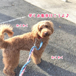 まってました！