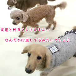 みんないい子！