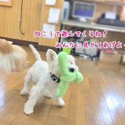 みんなに見せよう