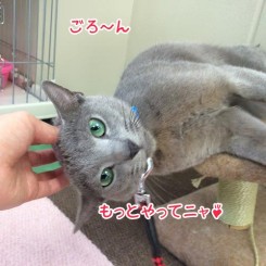 もっともっと～