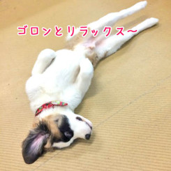 りらっくすたいむ