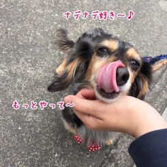 ナデナデ