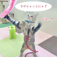 今がチャンス！