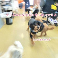 今日もみんなとっても元気！