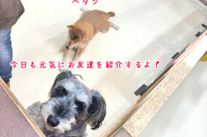今日も元気にご紹介