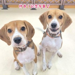 仲良く記念写真