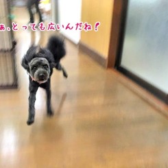 広いフリースペース