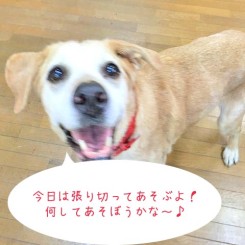 張り切って遊ぶぞ！