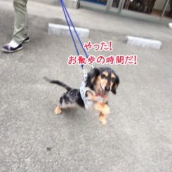 待ってました！