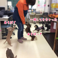 思い思いに楽しんでいます