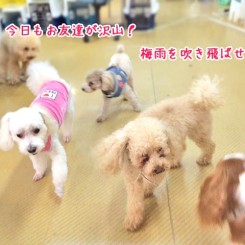 梅雨を吹き飛ばそう！