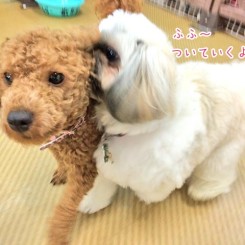 気に入っちゃった？