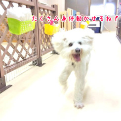 運動いっぱい！